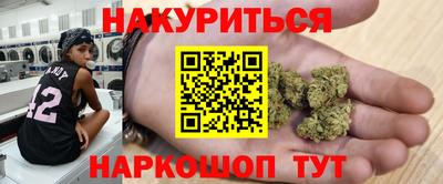 стаф Кингисепп