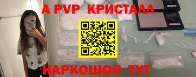 стаф Кингисепп