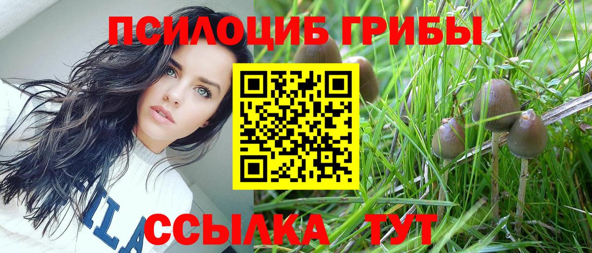 Псилоцибиновые грибы Psilocybe  Вход с VPN  Галлюциногенные грибы Psilocybine cubensis  Кстово 